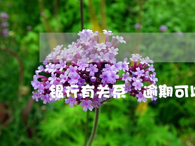 银行有关系 逾期可以贷款